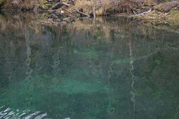 Экомаршрут "радоновые озёра в Лопухинке" (Ломоносовский район)