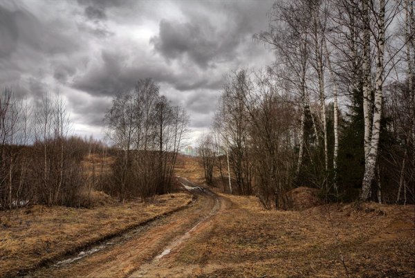 Пасмурный день весной