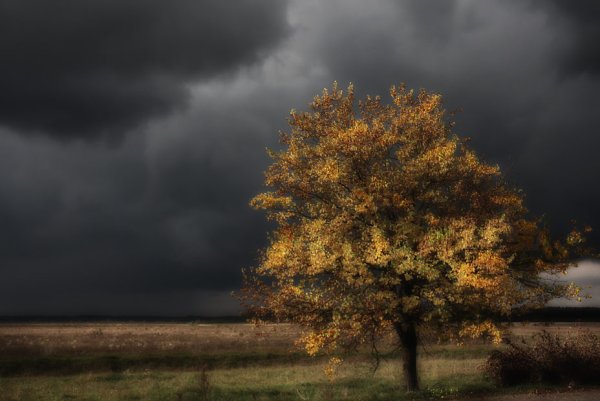 Пасмурное небо осень