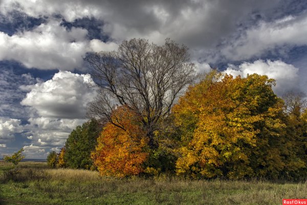 Тучи осенью