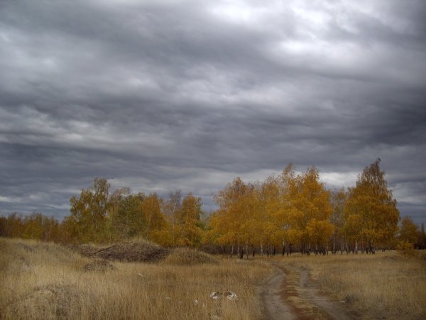 Пасмурное небо осень