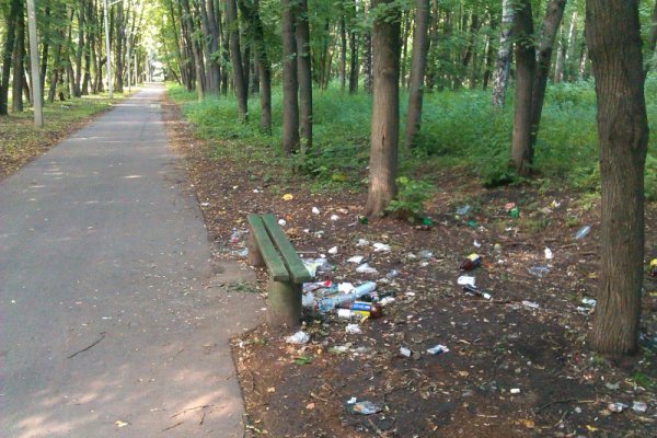 Мусор в парке