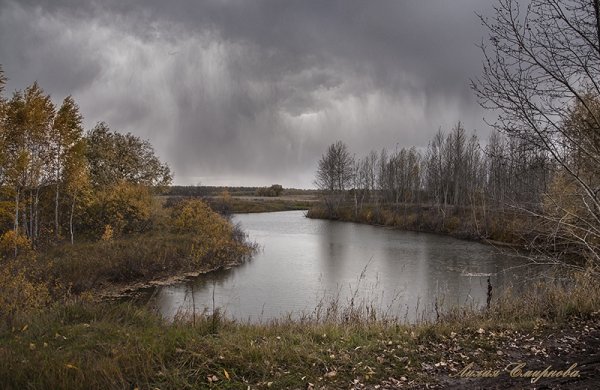 Пасмурный день