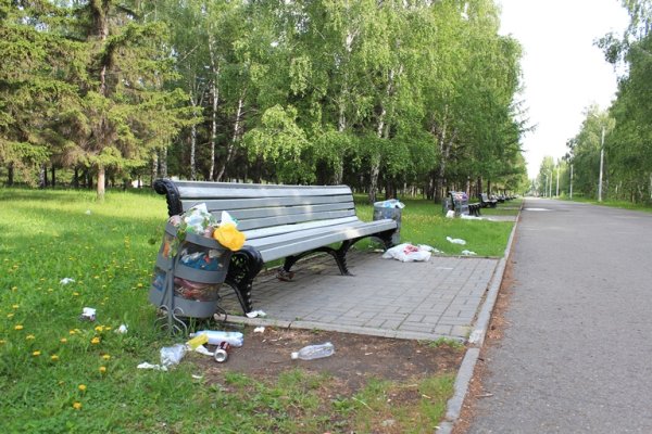 Мусор в парке