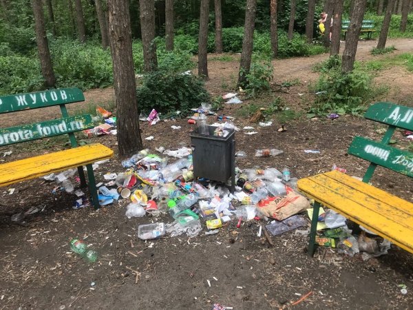 Парк с мусором