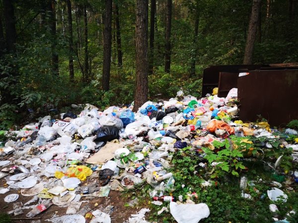 Загрязнение парков
