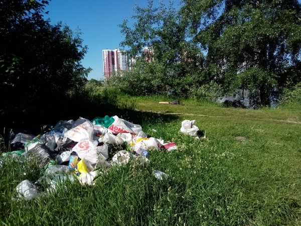 Свалка на природе