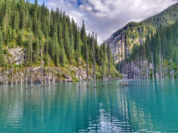 Каинды госрегистрации Каинды