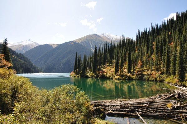 Кольсай Алматы