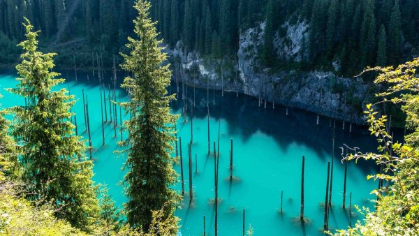 Озеро Каинды в Казахстане