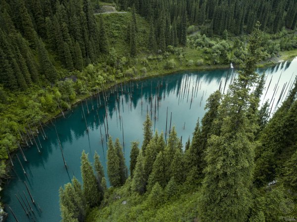 Кольсайские озера и Каинды