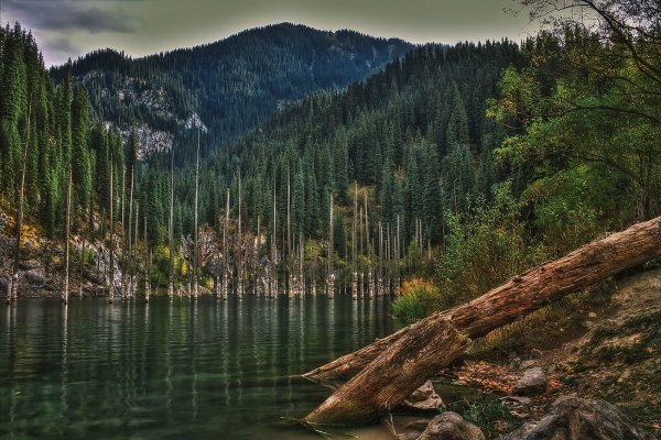 Озеро Каинды в Казахстане