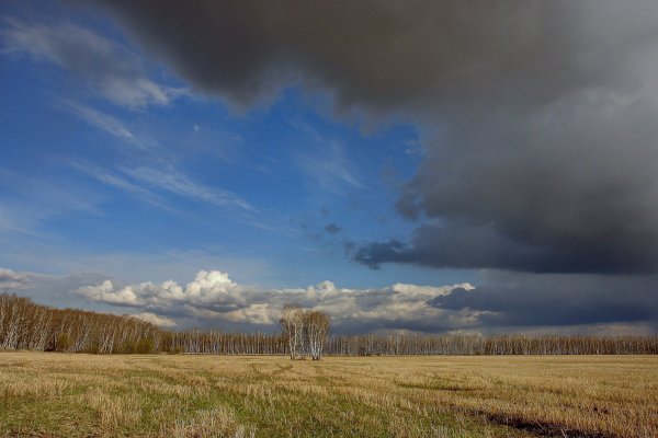 Изменчивый климат
