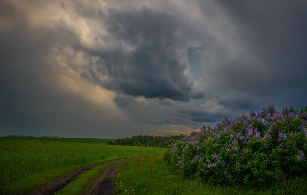 Майские ветры
