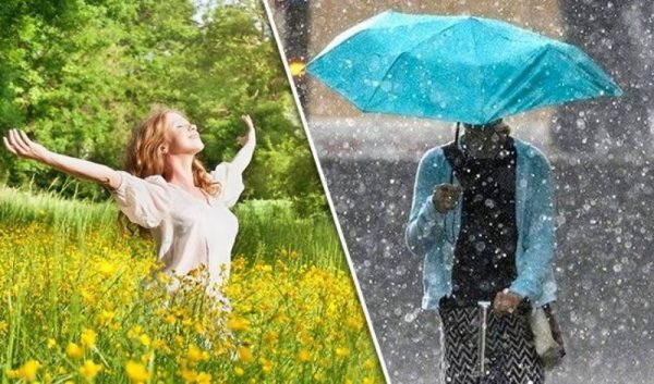 Дождливая Солнечная погода