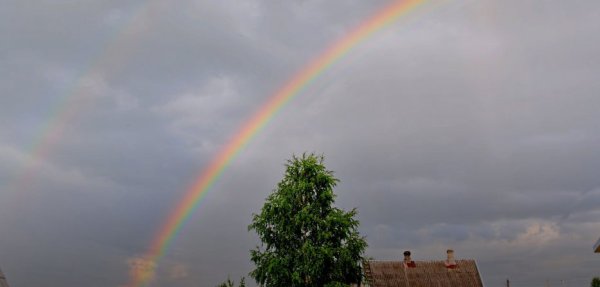 Переменчивый дождь
