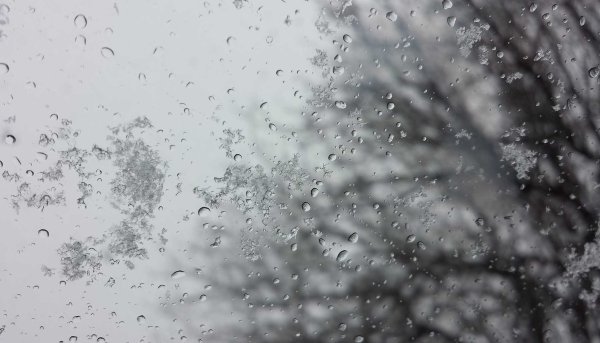 Мокрый снег с дождем