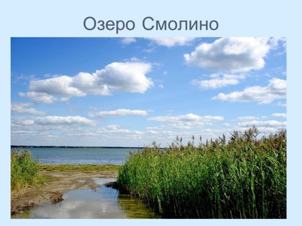 Растения и животные озера Смолино