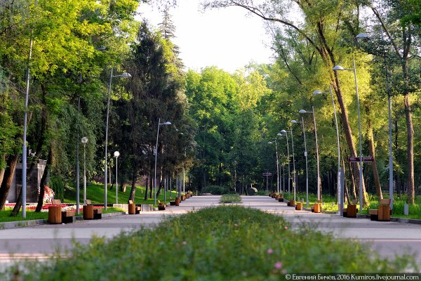 Парк Динамо Воронеж