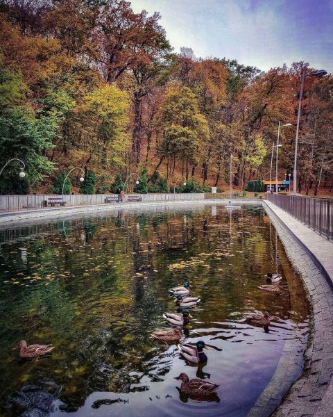 Сквер Динамо Воронеж