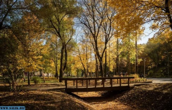 Парк Динамо Воронеж осень