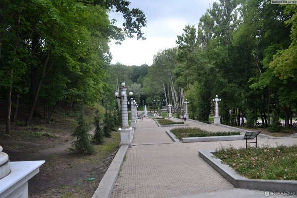 Город Воронеж парк Динамо