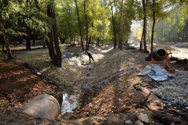 Парк Динамо до реконструкции Воронеж