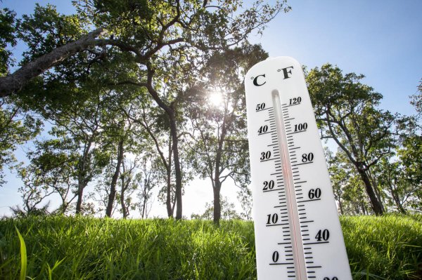 Жаркий климат