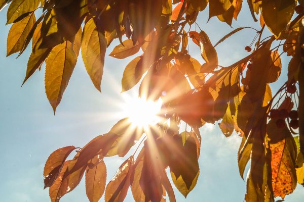 Осень солнце тепло