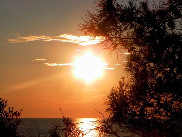 Тепло солнца