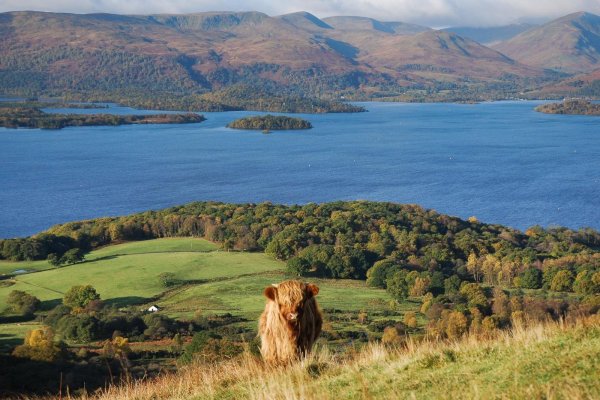 Озеро лох ломонд