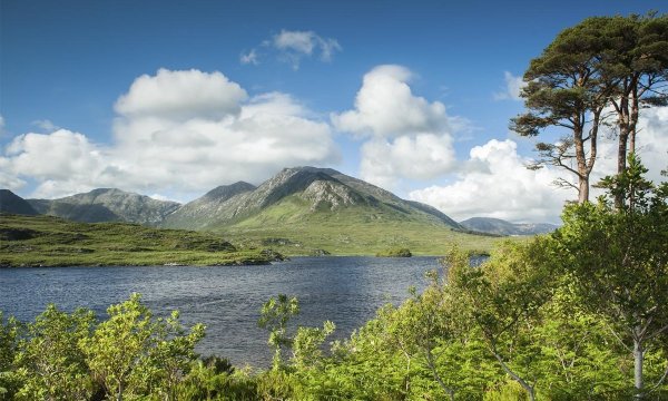 Озеро лох ломонд фото