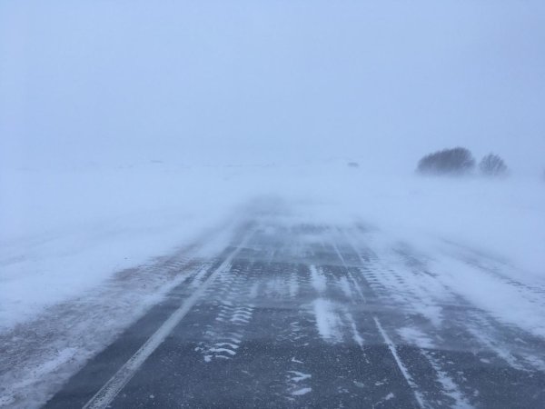 Снежный Буран