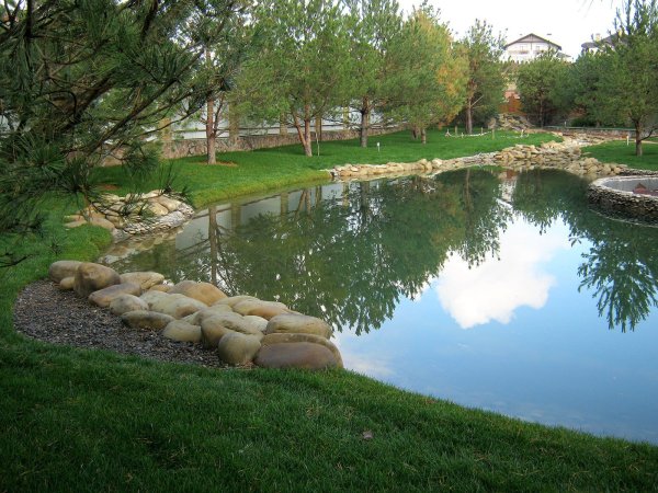 Корнелл территория сада пруд речка