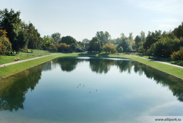 Пруд 20 на 20 метров