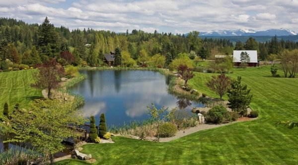 Озеро на участке