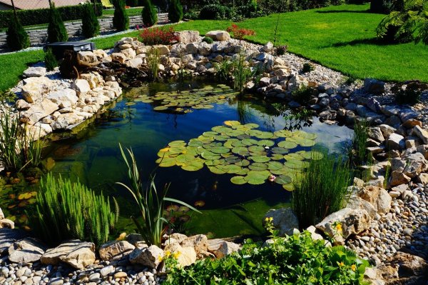 Террасированный прудик