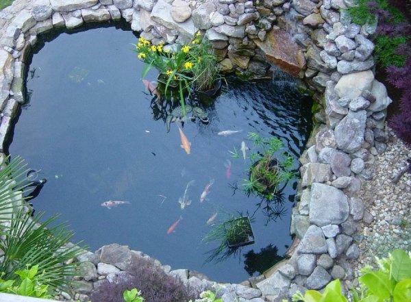 Маленький прудик с рыбками