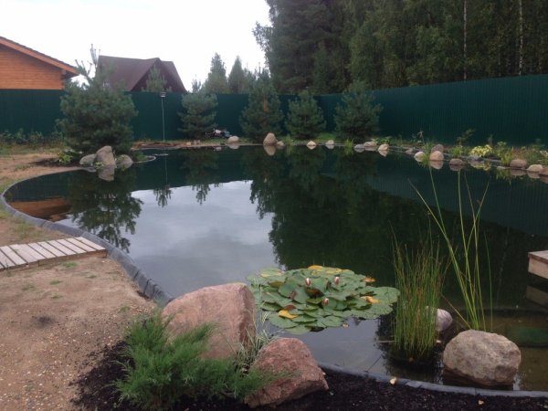 Озеро на участке