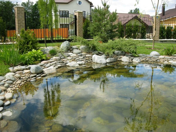 Искусственное озеро на участке