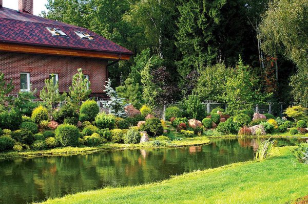 Ландшафт с естественным прудом