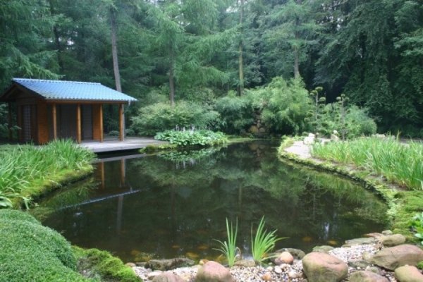 Огромный пруд на участке