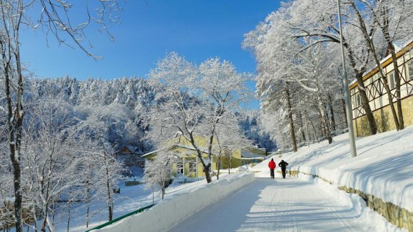 Парк отель Хвалынский зима