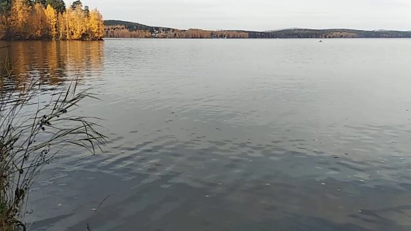 Озеро Исеть пляж