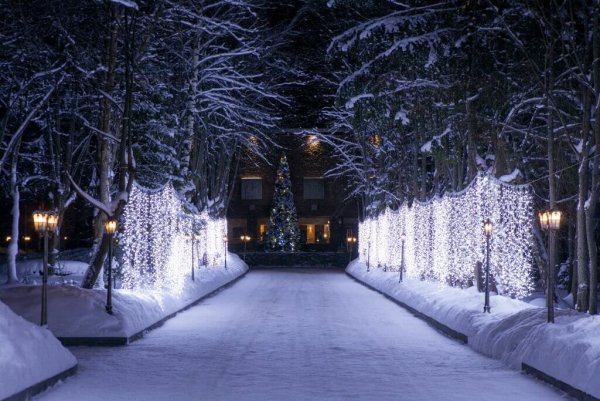 Солнечный Солнечногорск