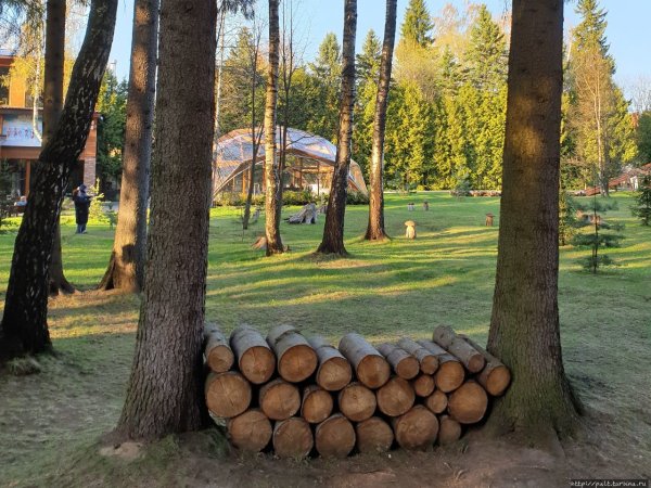 Пансионат Солнечный Солнечногорск