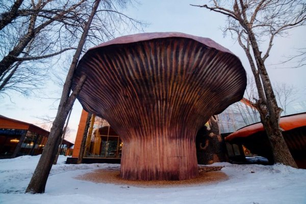 Солнечный парк отель грибы