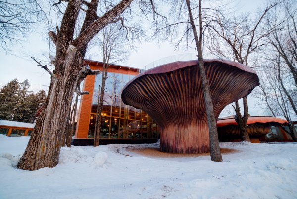 Солнечный парк отель и спа Солнечногорск