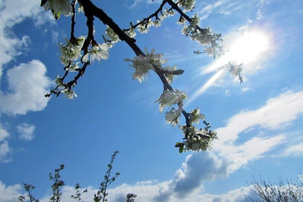 Весеннее солнечное небо