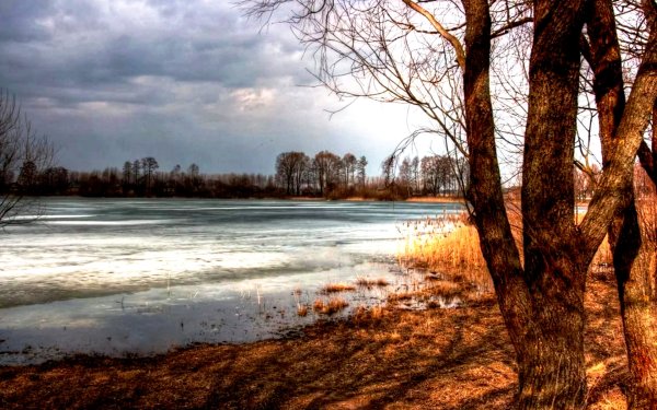 Март природа